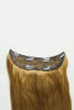 Picture of HALF MOON HAIRPIECE -6 NO COLOUR